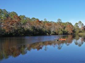 Kayakers in Rotten Bayou